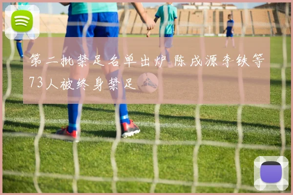第二批禁足名单出炉 陈戌源李铁等73人被终身禁足